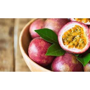 Jual Benih Bibit Buah Markisa Merah Manis