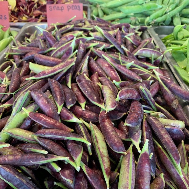 Benih-Bibit Kacang Kapri/Polong Sugar Snap 2 (Haira Seed)