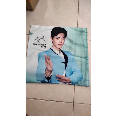 Bantal Pepsi Xiao Zhan
