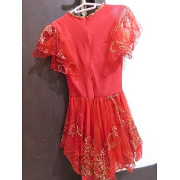 Ice Skating Dress/Costume