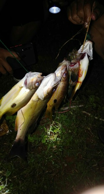 Pandawa Kemeja Batik Pria M.l.xl.xxl Lengan Pendek