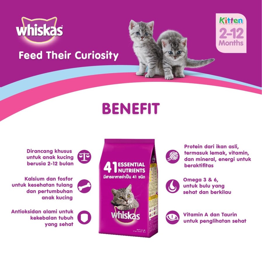 Whiskas Junior Mackerel 1.1 kg Makanan Kucing Kering Dry Cat Food 1kg