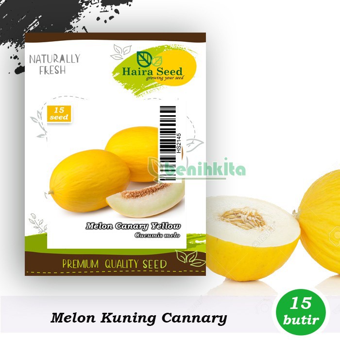 Benih-Bibit Melon Kuning Canary Yellow (Haira Seed)