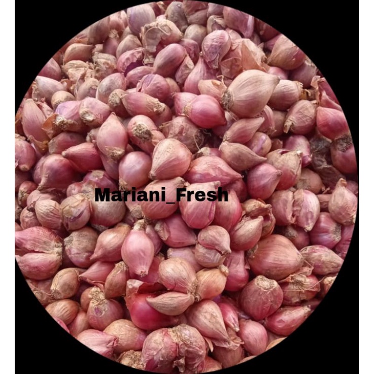 

bawang merah segar