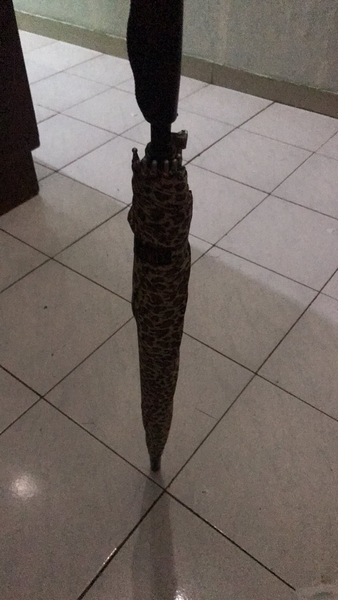 Tabasa Payung Tongkat Leopard Loko