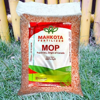 Jual Pupuk KCL Mahkota MOP Kemasan Repack 1 Kg Shopee Indonesia