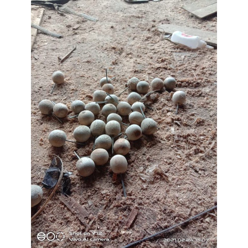 mute kayu aksesoris kaki sangkar