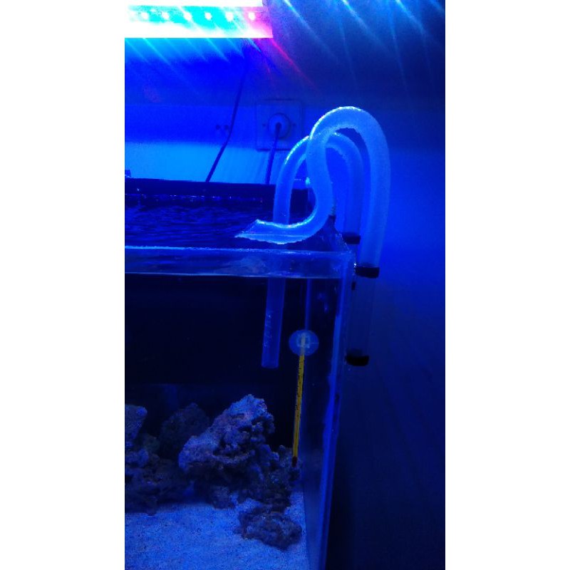 lilypipe,lilipipe canister aquascape aquarium