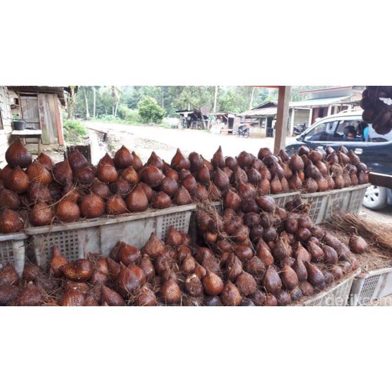 

salak manis