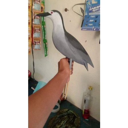 jontrot burung koak maling