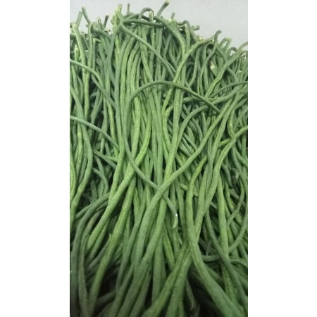 

SegarDailly Kacang Panjang 250gram/Pack