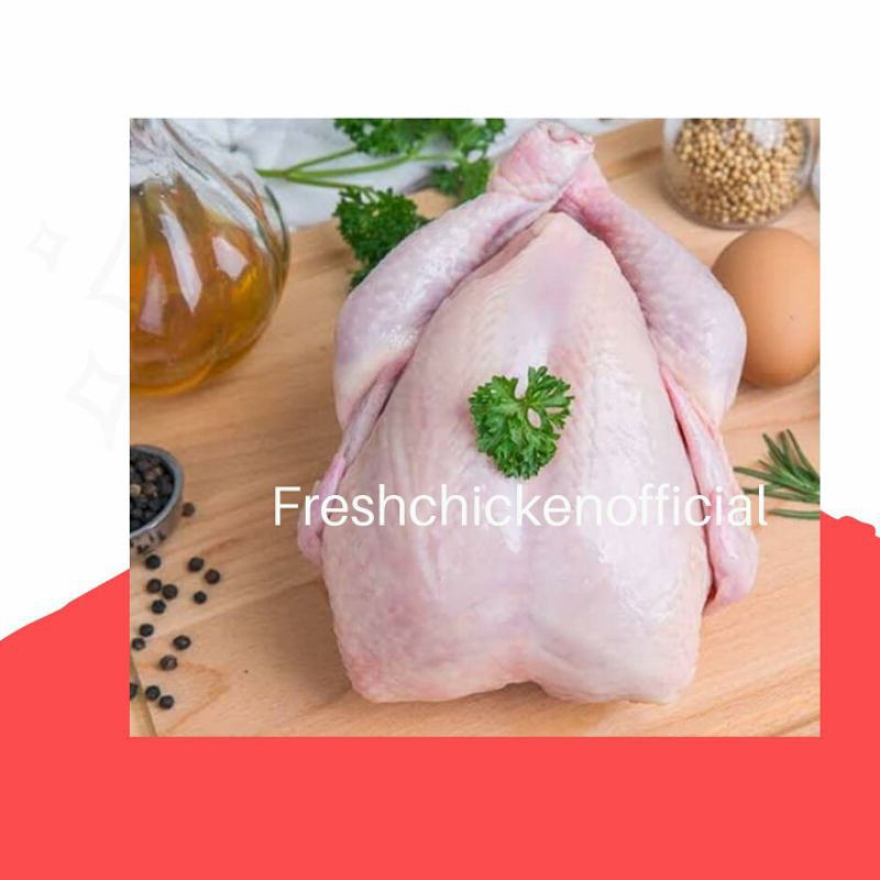 

Ayam broiler 800-900gr