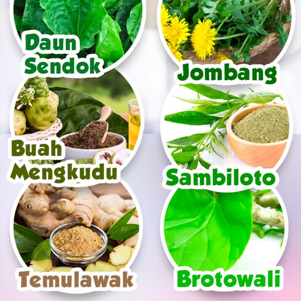 

Ramuan Herbal untuk Diabetes BPOM 100% Alami Turunkan Gula Darah