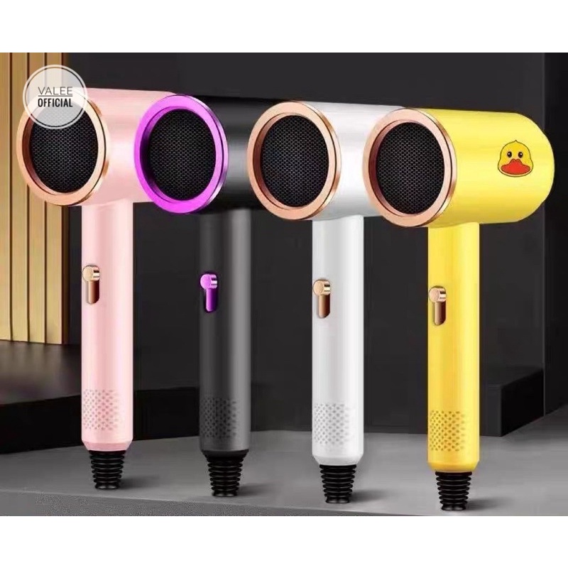 Pengering Rambut Hair Dryer Quick Dry Blower