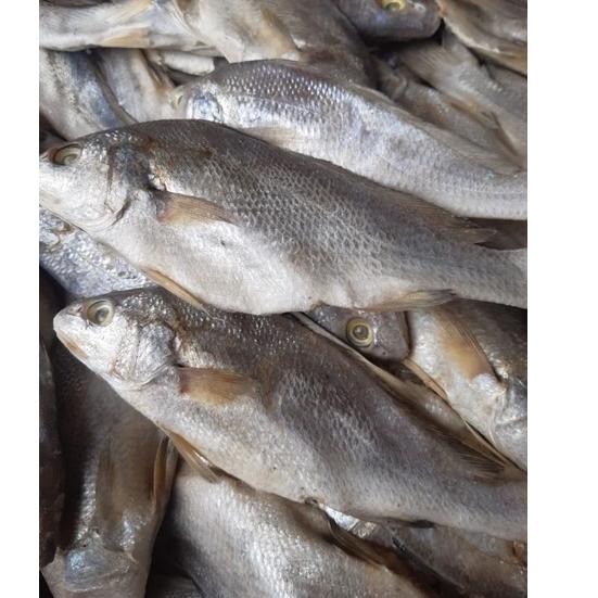 

[KODE LG00P] Ikan Asin Sileman 500 gr