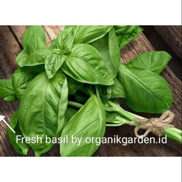 

Fresh basil