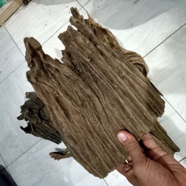 kayu irian aquascape size M