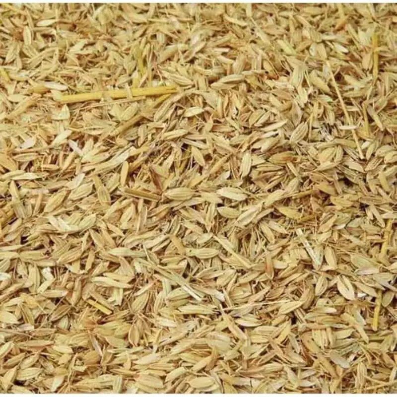 Biji Gabah makanan burung 500gr