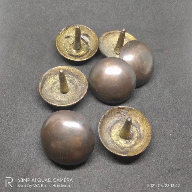 PROMO Paku Pines Kuningan 4 cm