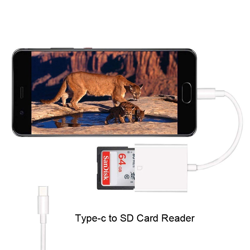 Sd / TF Card Reader / Konverter Usb Tipe-C 2 In 1 Multifungsi Portable Untuk Handphone / Tablet