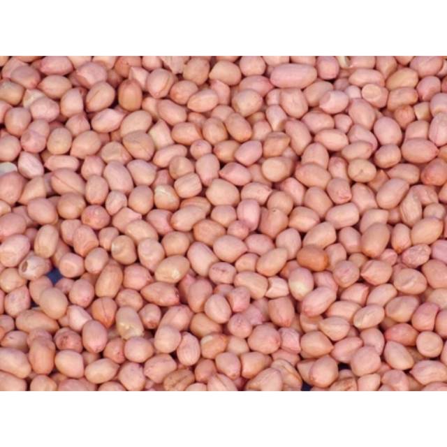 

Kacang Tanah kulit asli madura 500grm