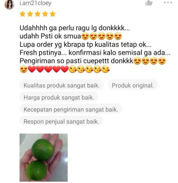 KIRIM INSTAN Jeruk Nipis 250gr