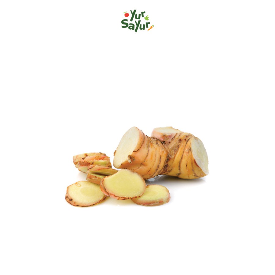 

Kencur Fresh || 100gr