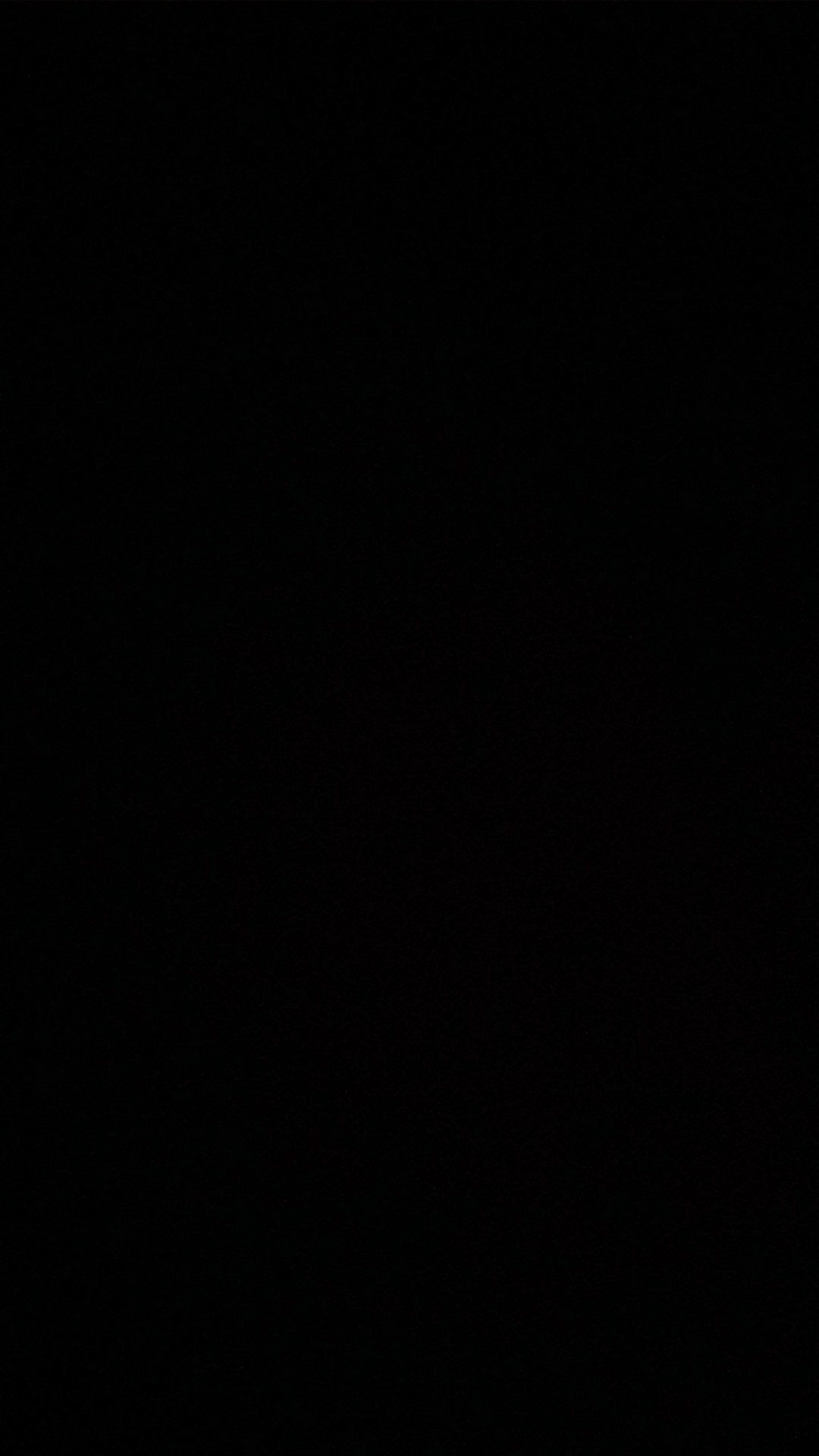 Container Box 95l Mickey Naiba