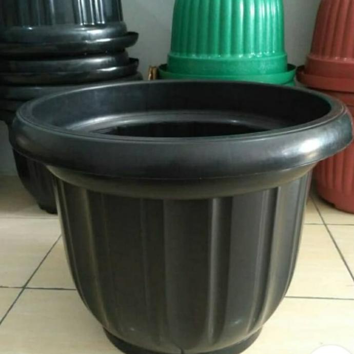 ,,,,,,,] Pot 60 jumbo /besar pot Tanaman buah tabulapot