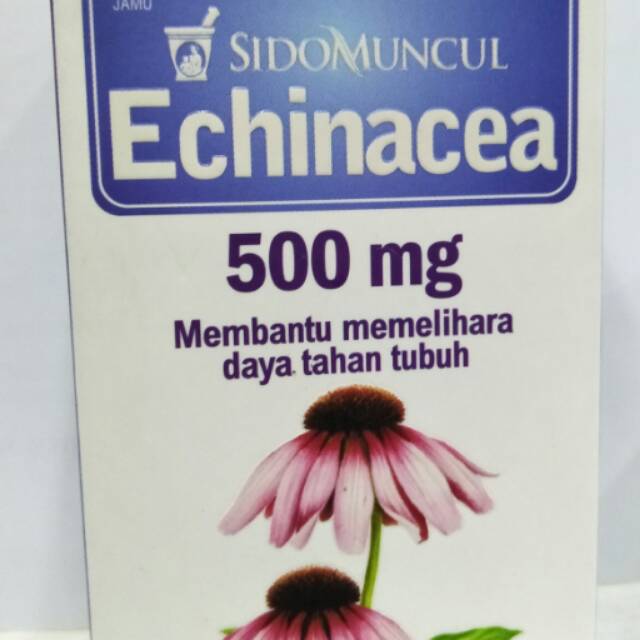 Echinacea sidomuncul