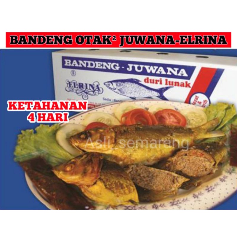BANDENG OTAK-OTAK JUWANA-ELRINA