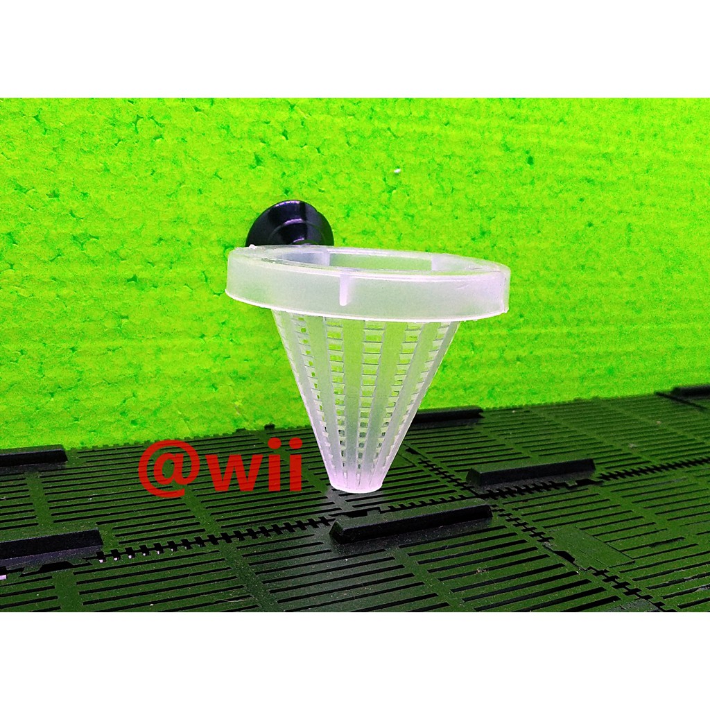 tempat wadah media cacing sutra aquarium aquascape grosir murah