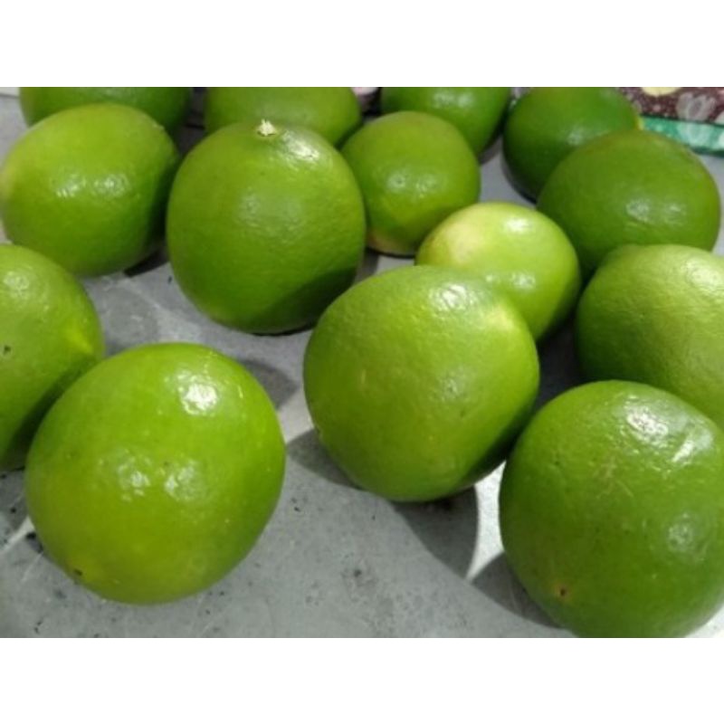

JERUK NIPIS FRESH / 1 Kg