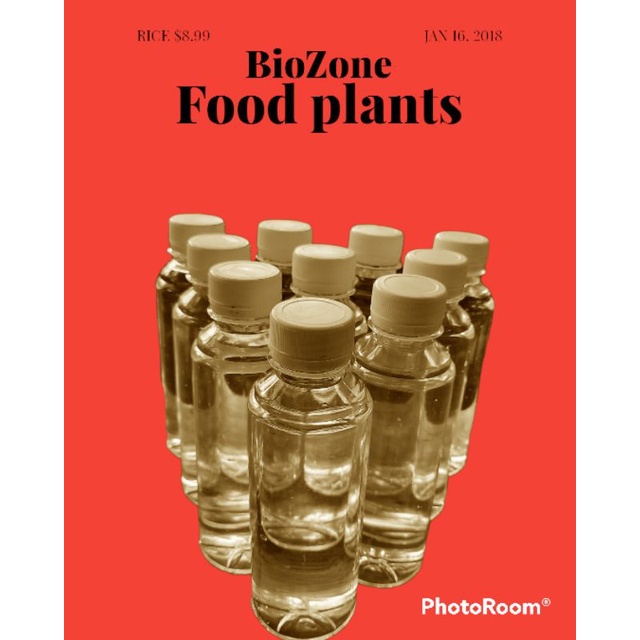 Pupuk Biozone (food plant)
