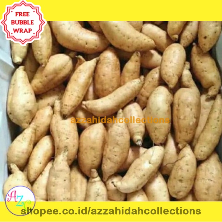 

Ubi Cilembu Madu Mentah 1 kg azc-NH SHAFF