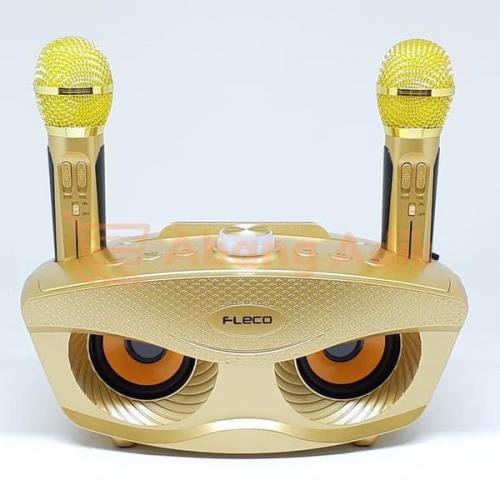 FLECO FL 311 Karaoke Speaker dengan 2 Mikrofon Bluetooth