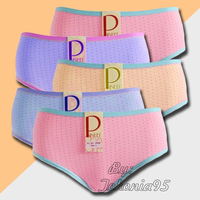 CD Pinlei 2902 - Celana Dalam Wanita Premium