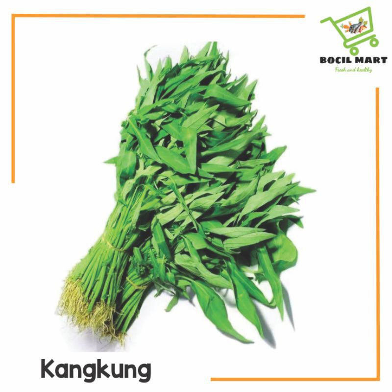 

[BOCIL MART] SAYUR KANGKUNG 1 IKAT