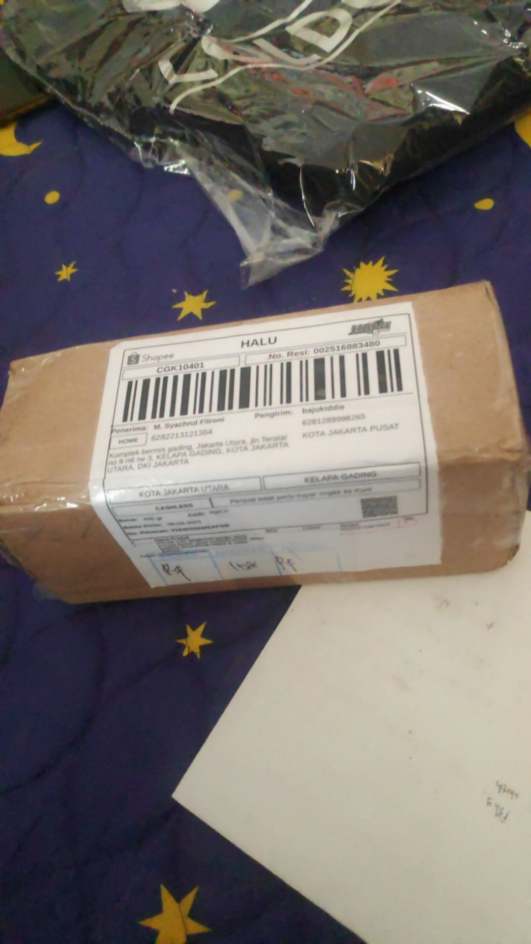 Pylox Cat Semprot Mobil Besi Pylox Basic Spay Nippon Paint 300cc Basics (khjabodetabek & Jawa Barat)