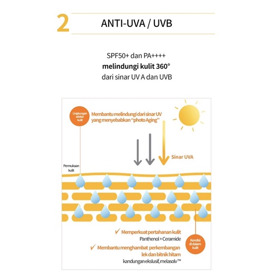 Laneige Radian C Sun Cream 50ml SPF50+ PA+++