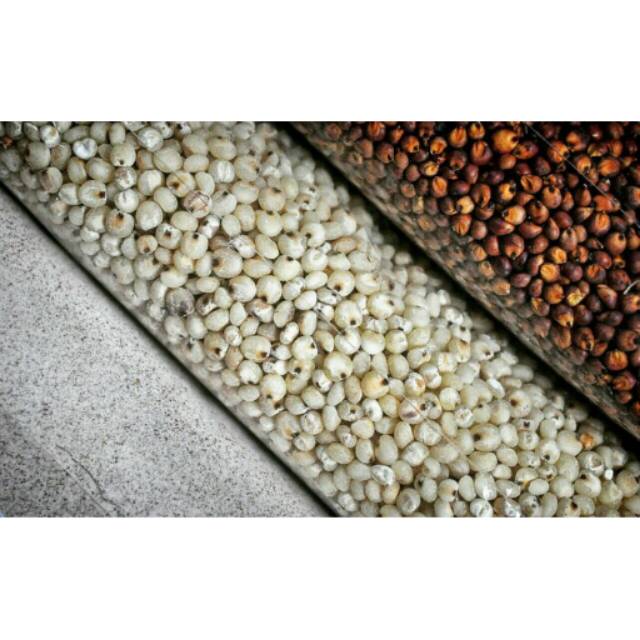 Ganesha Farmhouse White Sorghum (Sorgum Sosoh Putih) 1000 gr