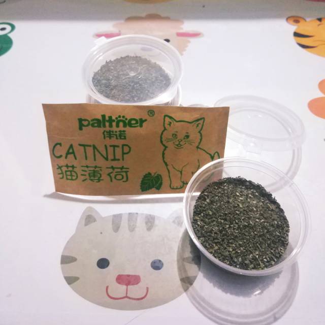 CATNIP / TANAMAN KUCING / CATNIP KERING