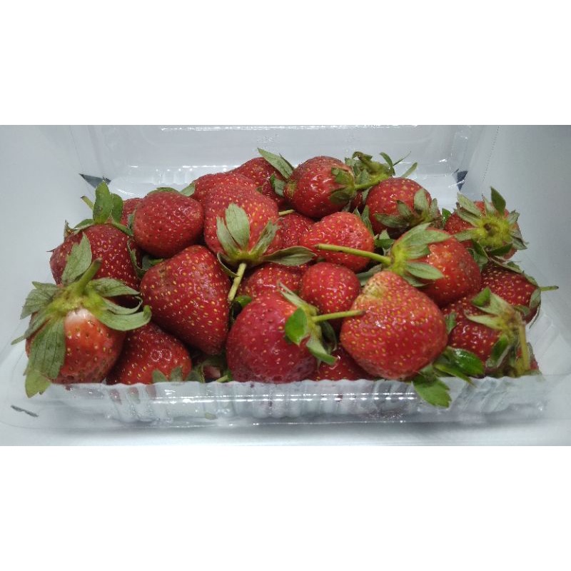 

Strawberry Ciwidey 250 gr