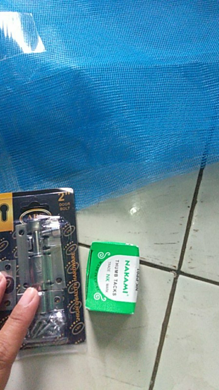 Paku Payung Kecil Paku Pines Paku Jaring Nyamuk Paku Karpet Paku Kecil