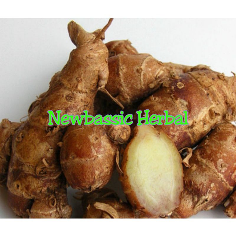 

paket 10kg kencur super