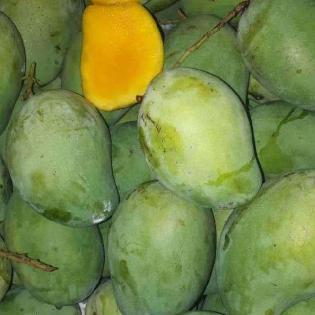 

Mangga Harum Manis 1kg