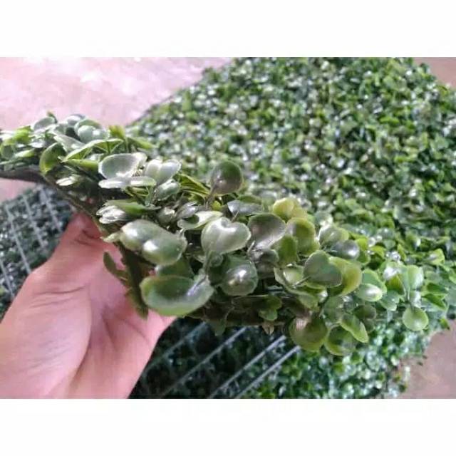 TANAMAN MERAMBAT DINDING DAUN DOLAR SINTETIS