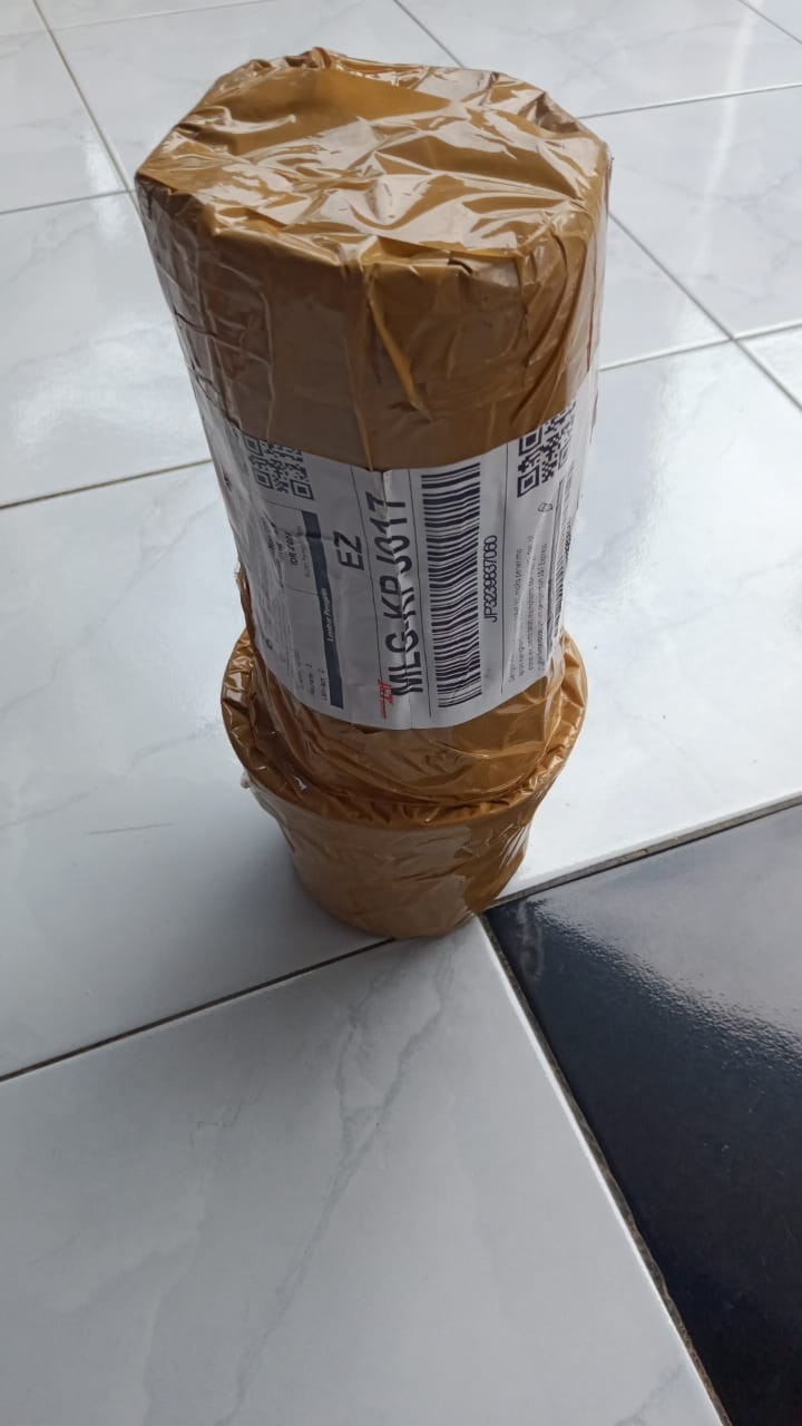 Aglonema Hot Lady