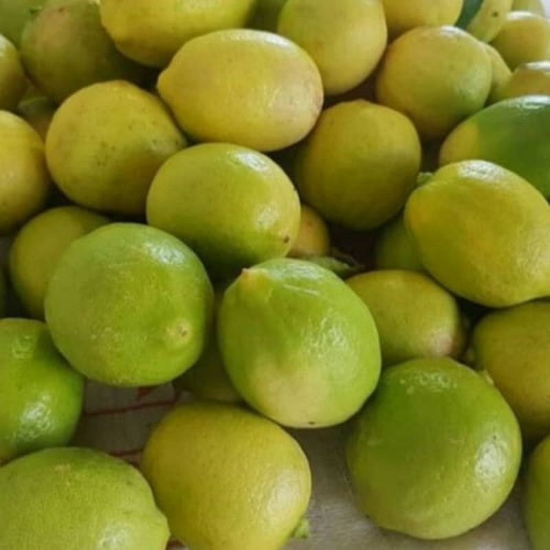 

Jeruk lemon(1 kg)