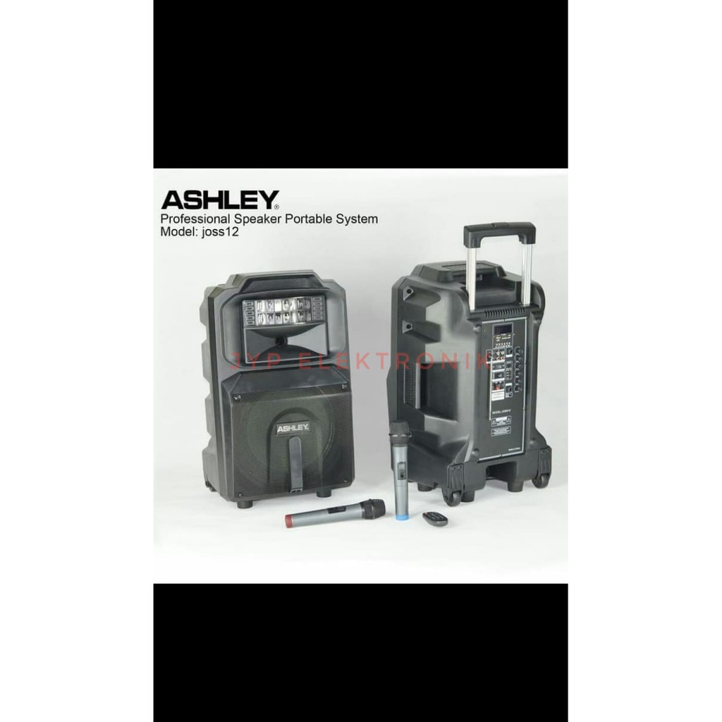 Speaker Portable Meeting Wireless Ashley Joss12 (12Inch)